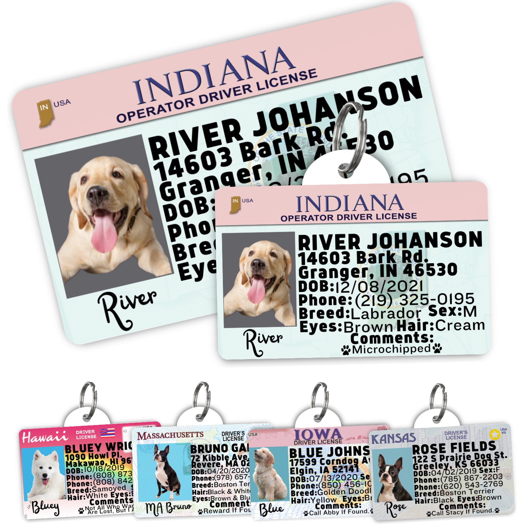 PawFurEver Pet ID License-Style Dog Tag & Wallet Card, Indiana