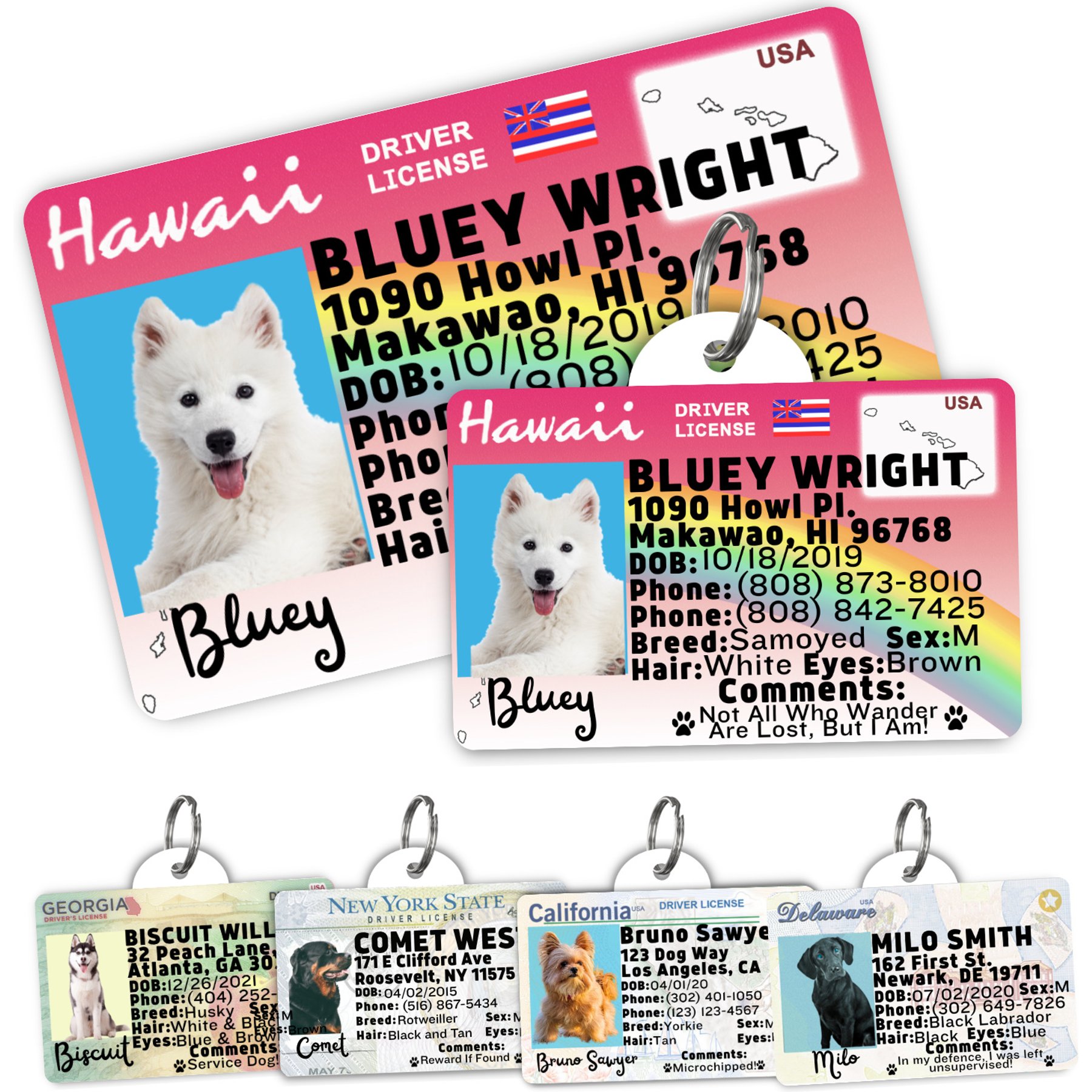 PawFurEver Pet ID License-Style Dog Tag & Wallet Card, Hawaii