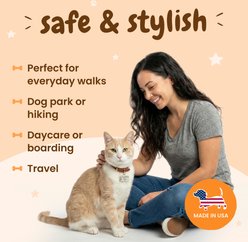 PawFurEver Pet ID License-Style Dog Tag & Wallet Card, Texas slide 2 of 7