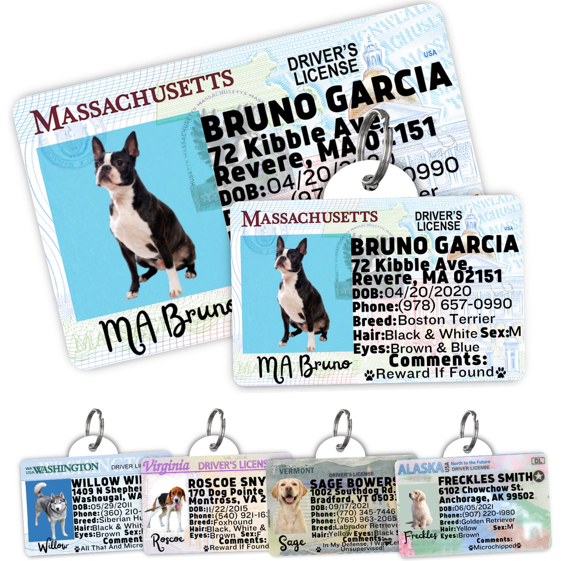 PawFurEver Pet ID License-Style Dog Tag & Wallet Card, Massachusetts