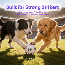 FIFA Neo Light Soccer Training Ball Dog Toy, Black/White, 3.15-in slide 2 of 7