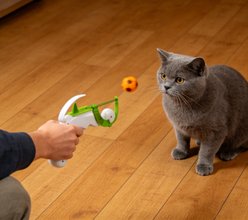 FIFA Pro Ball Exercise Launcher Cat Toy, White/Green, 7.87 x 6.30 x 5.71-in slide 2 of 9