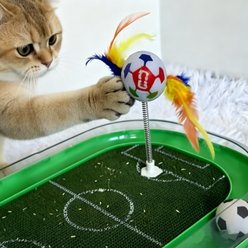 FIFA Run Around Cardboard Soccer Field Training Games & Puzzles Cat Toy, White/Green, 17.7 x 12.6 x 2.4-in slide 2 of 9