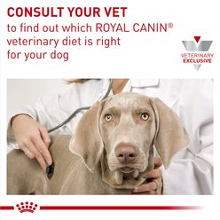 Royal Canin Veterinary Diet Adult Hepatic Dry Dog Food, 6-lb bag slide 2 of 9
