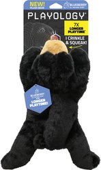Playology Blueberry Scented Bear Squeaky Plush Dog Toy, Black, Jumbo