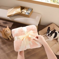 Bedsure Super Premium Fleece Cat Pattern Thin Portable Throw Dog & Cat Blanket, 3 count, Medium: 40 x 30-in slide 2 of 7