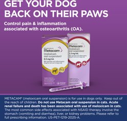 Metacam (Meloxicam) Oral Suspension for Dogs, 1.5 mg/mL, 32-mL slide 2 of 9