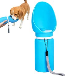 Decflow Portable Leak-Proof Dog Water Bottle with Lanyard, Blue, 18.5-fl oz