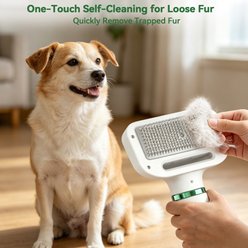 Decflow 2-in-1 Slicker Brush Dog & Cat Hair Dryer & Comb, White slide 2 of 7