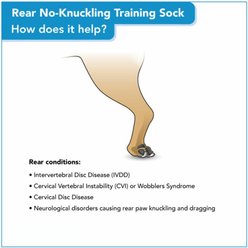 Walkin' Pets Rear No-Knuckling Dog Training Sock, Large slide 2 of 6
