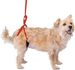 Walkin' Pets Up-n-Go Mini Dog Leash, Red