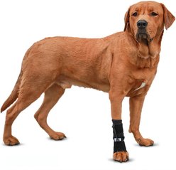 Walkin' Pets Front No-Knuckling Dog Training Sock, X-Large