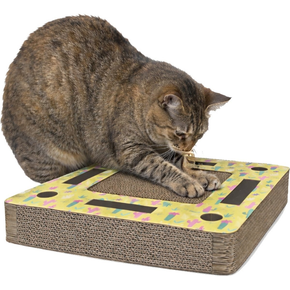 A&E Cage Company Pampurred Paws Square Track Maze Cat Scratcher Pad