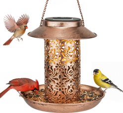 Kingsyard Solar Powered Lantern Multi-Bird Feeder, Bronze