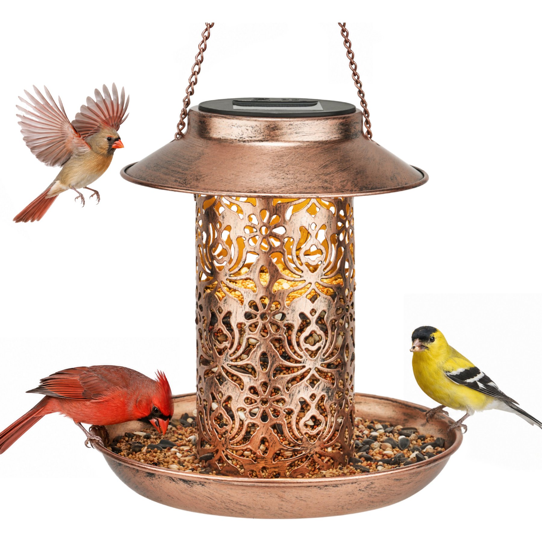 Kingsyard Solar Powered Lantern Multi-Bird Feeder, Bronze