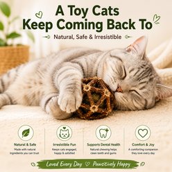 Purr Harbor Cat Chew Toy Assorted Silvervine Cage Ball Set, 3 count slide 2 of 5