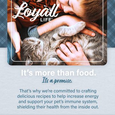 Show full view: Nutrena Loyall Life Salmon & Ocean Fish Meal Recipe Cat & Kitten Food, 20-lb bag slide 10 of 10