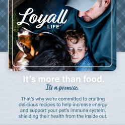 Nutrena Loyall Life Large Breed Chicken & Brown Rice Recipe Adult Dog Food, 40-lb bag slide 2 of 9