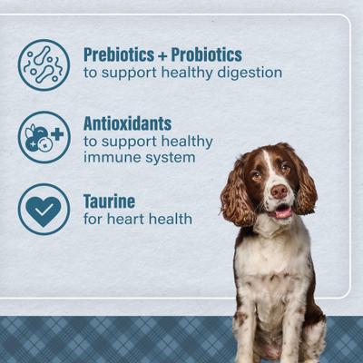 Show full view: Nutrena Loyall Life Advanced Solutions Sensitive Skin & Coat Salmon & Oatmeal Recipe Adult Dog Food, 30-lb bag slide 7 of 10