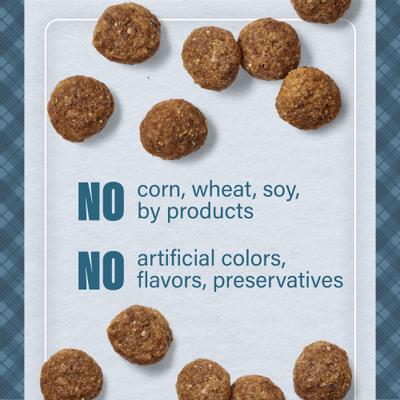 Show full view: Nutrena Loyall Life Advanced Solutions Sensitive Skin & Coat Salmon & Oatmeal Recipe Adult Dog Food, 30-lb bag slide 6 of 10