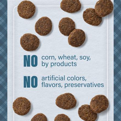 Show full view: Nutrena Loyall Life Grain-Free Beef with Sweet Potato Recipe Dog Food, 30-lb bag slide 6 of 10
