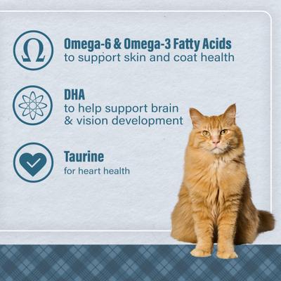 Show full view: Nutrena Loyall Life Chicken Recipe Cat & Kitten Food, 6-lb bag slide 7 of 10