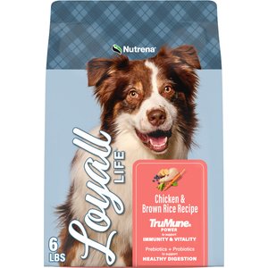 Nutrena Loyall Life Chicken & Brown Rice Recipe Dog Food, 6-lb bag