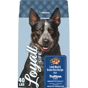 Nutrena Loyall Life Lamb Meal & Brown Rice Recipe Adult Dog Food, 40-lb bag