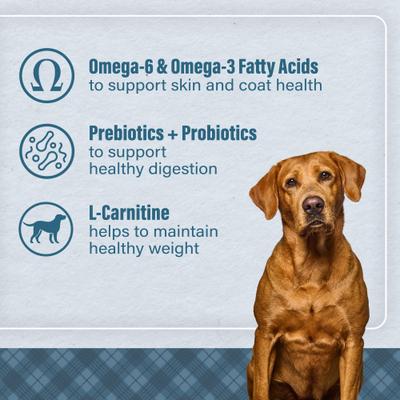 Show full view: Nutrena Loyall Life Large Breed Chicken & Brown Rice Recipe Adult Dog Food, 40-lb bag slide 7 of 10