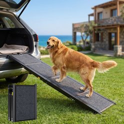 Yafylly Folding Non-Slip Dog Ramp, Black, 63 x 17-in
