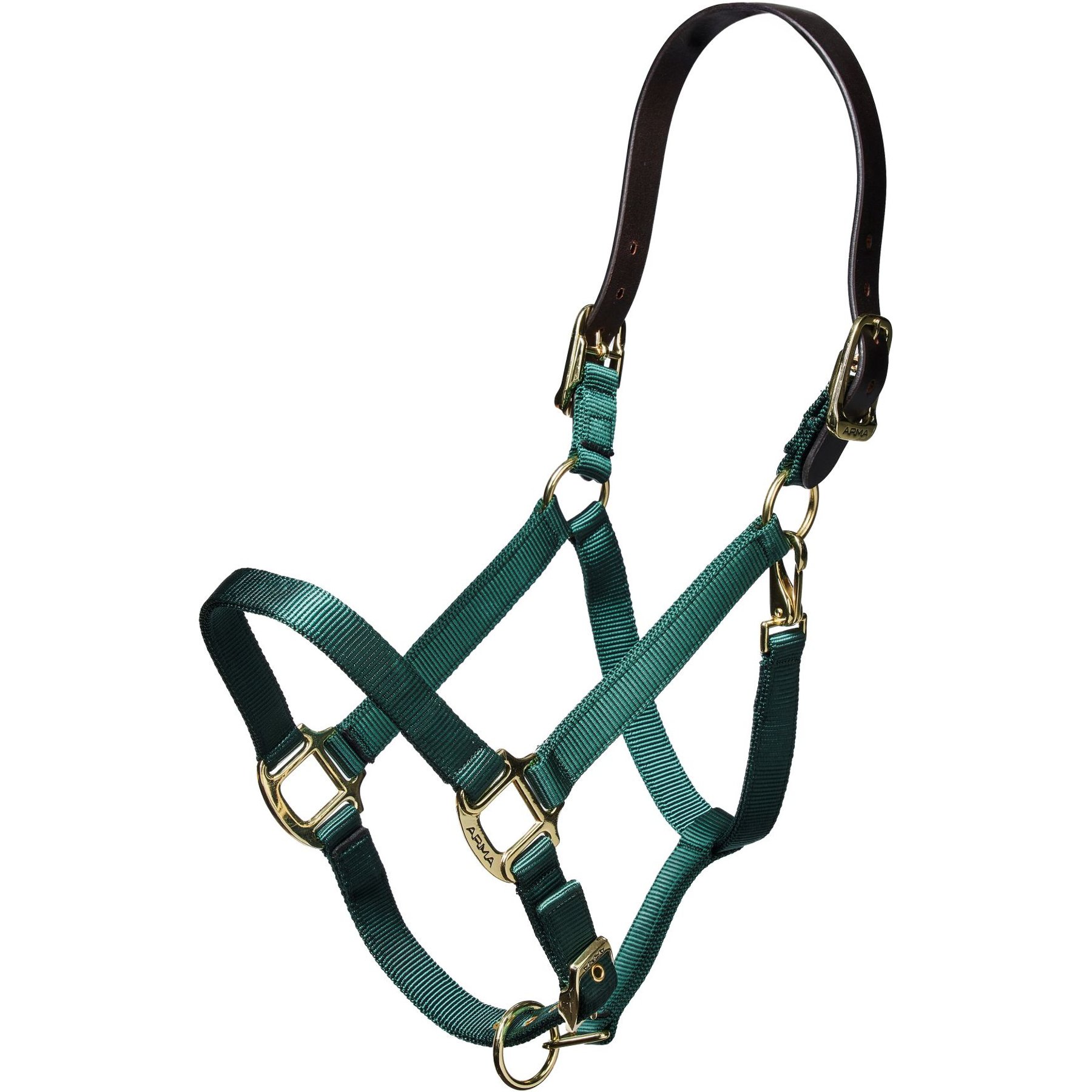 Shires Equestrian Products Leather Head Strap Nylon Horse Halter, Hunter, Cob