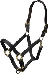 Shires Equestrian Products Leather Head Strap Nylon Horse Halter, Black, Cob