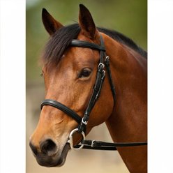 Nunn Finer Event Horse Bridle, Black & Stainless, Horse