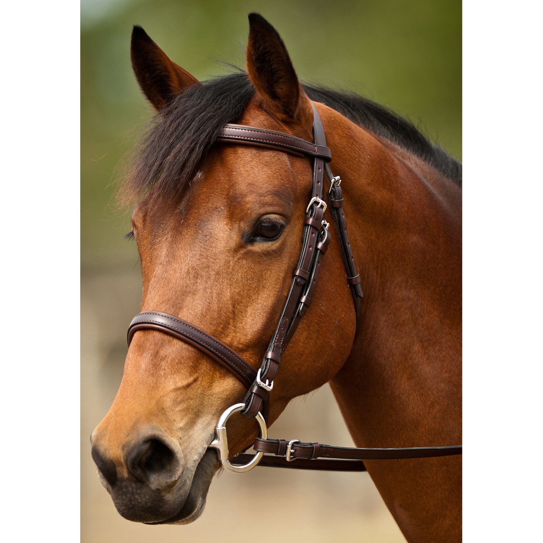 Nunn Finer Event Horse Bridle, Havana & Stainless, Oversize