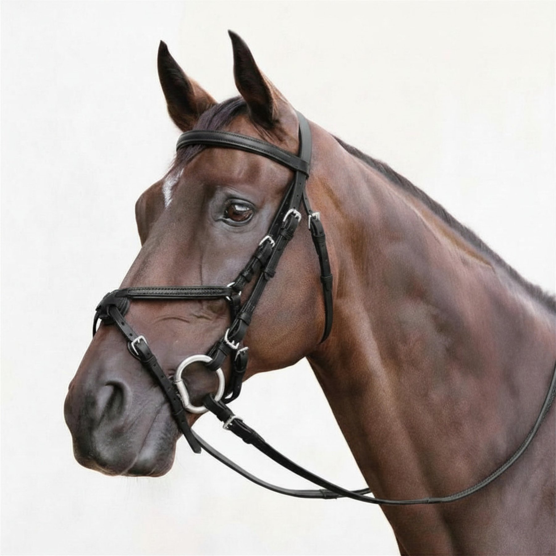 Nunn Finer Fairhill Figure 8 Horse Bridle, Black & Stainless, Horse