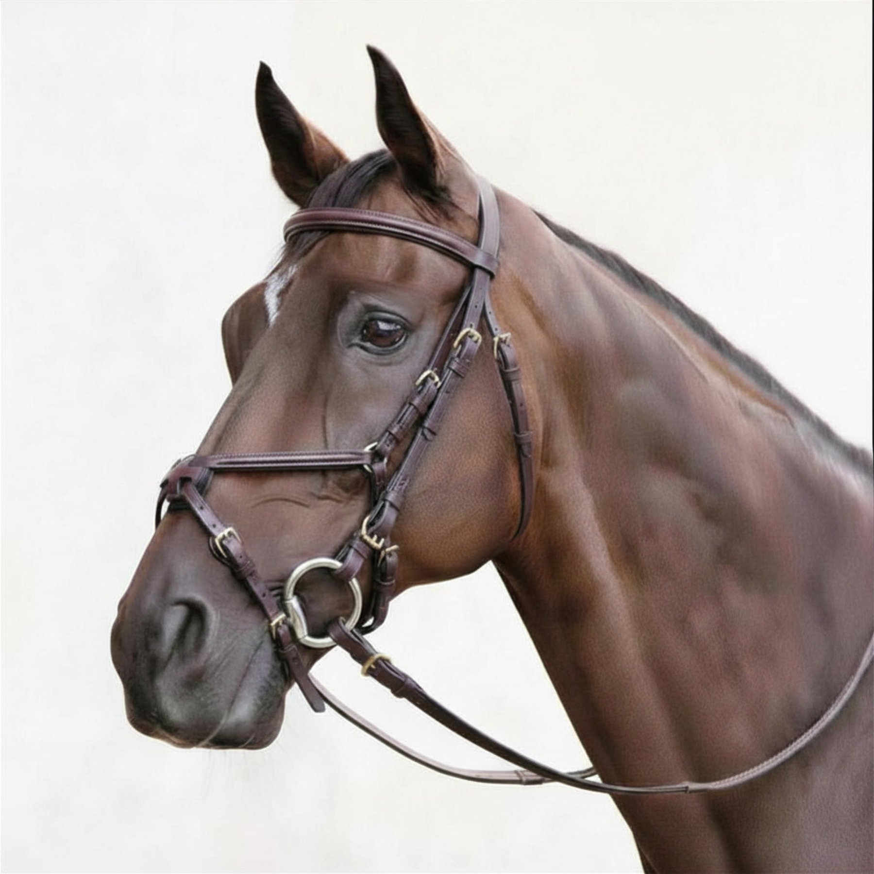 Nunn Finer Fairhill Figure 8 Horse Bridle, Havana & Brass, Oversize