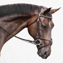 Nunn Finer Fairhill Figure 8 Horse Bridle, Havana & Stainless, Horse