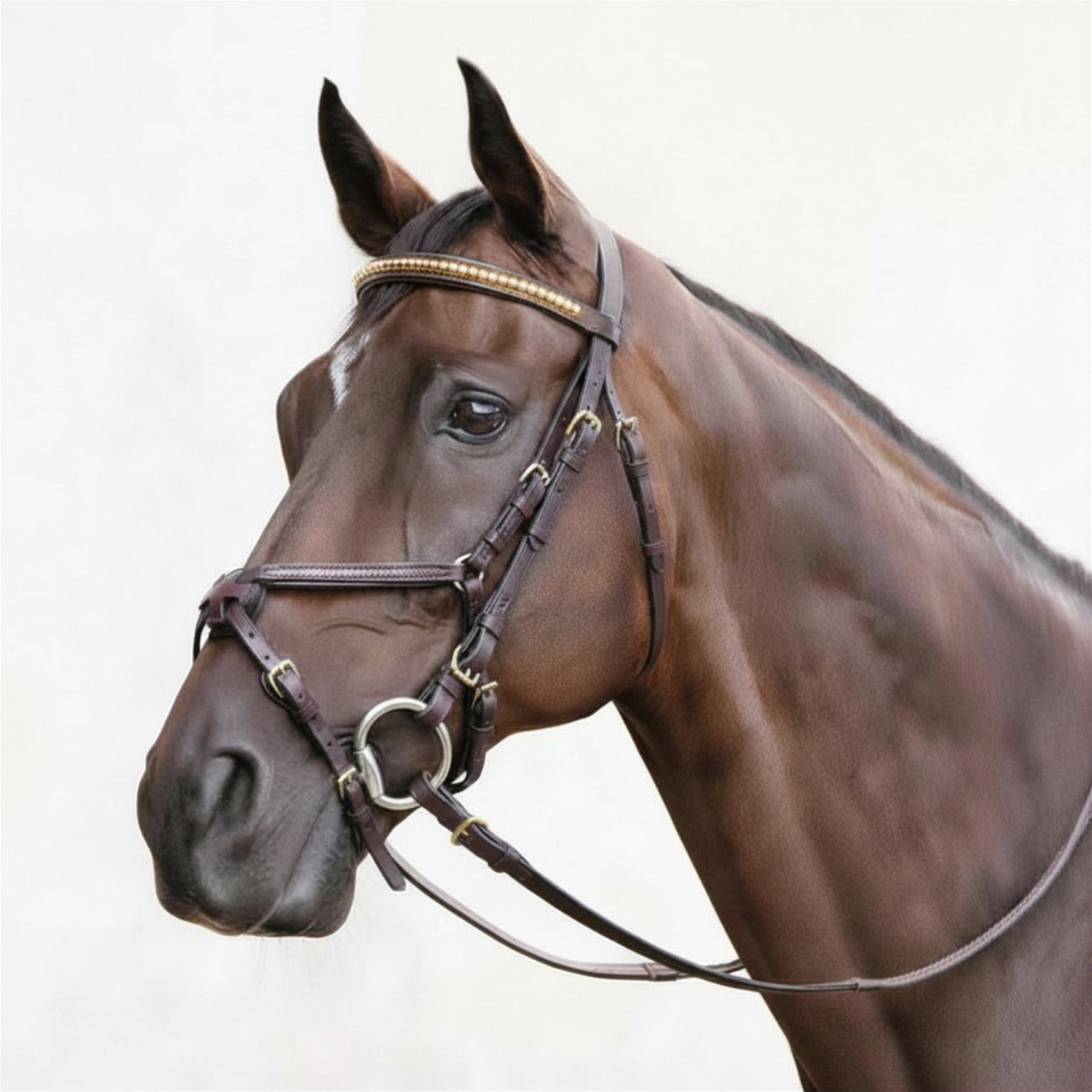 Nunn Finer Figure 8 Horse Bridle, Havana & Brass, Horse
