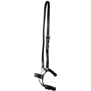 Nunn Finer Lever Horse Noseband, Black, Horse