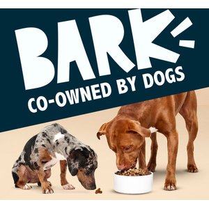 BARK Bada Bing! Bada Beef! High Protein Limited Ingredient Dry Dog Food Topper, 4.6-oz bottle, 1 count