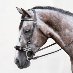 Nunn Finer The Stealth Hackamore Horse Noseband, Havana & Leather Curb, Horse