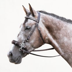 Nunn Finer The Cross Road Hackamore Horse Noseband, Havana & Leather Curb, Horse