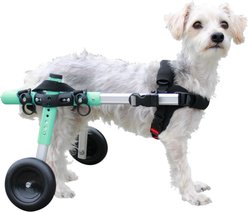 Walkin' Pets Walkin' Wheels Dog Wheelchair, Seafoam, Small: 9 to 13-in rear leg height