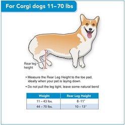 Walkin' Pets Walkin' Wheels Corgi Dog Wheelchair, Blue, Small: 8 to 11-in rear leg height slide 2 of 6