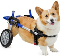 Walkin' Pets Walkin' Wheels Corgi Dog Wheelchair, Blue, Small: 8 to 11-in rear leg height