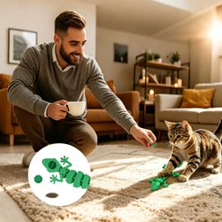 Pet Fit For Life Lizard Teaser Wand Cat Toy, Green, Medium slide 2 of 6