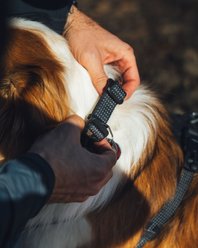 Ruffwear Ridgeline Reflective Dog Collar, Obsidian Black, 11 to 14-in neck, 1-in wide slide 2 of 6
