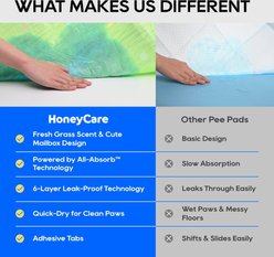 HoneyCare Fresh Grass Print Scent All Absorb Training Dog Potty Pads, X-Large: 26 x 30-in, 40 count slide 2 of 9