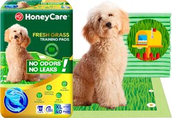 HoneyCare Fresh Grass Print Scent All Absorb Training Dog Potty Pads, X-Large: 26 x 30-in, 40 count