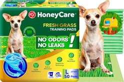 HoneyCare Fresh Grass Print Scent All Absorb Training Dog Potty Pads, Large: 22 x 23-in, 50 count